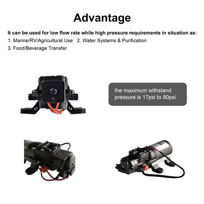 Hillhub 12V Water Pump Kit